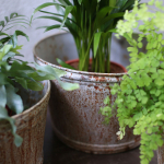 Grand Cache-Pot fleur ou plantes rustique en Zinc