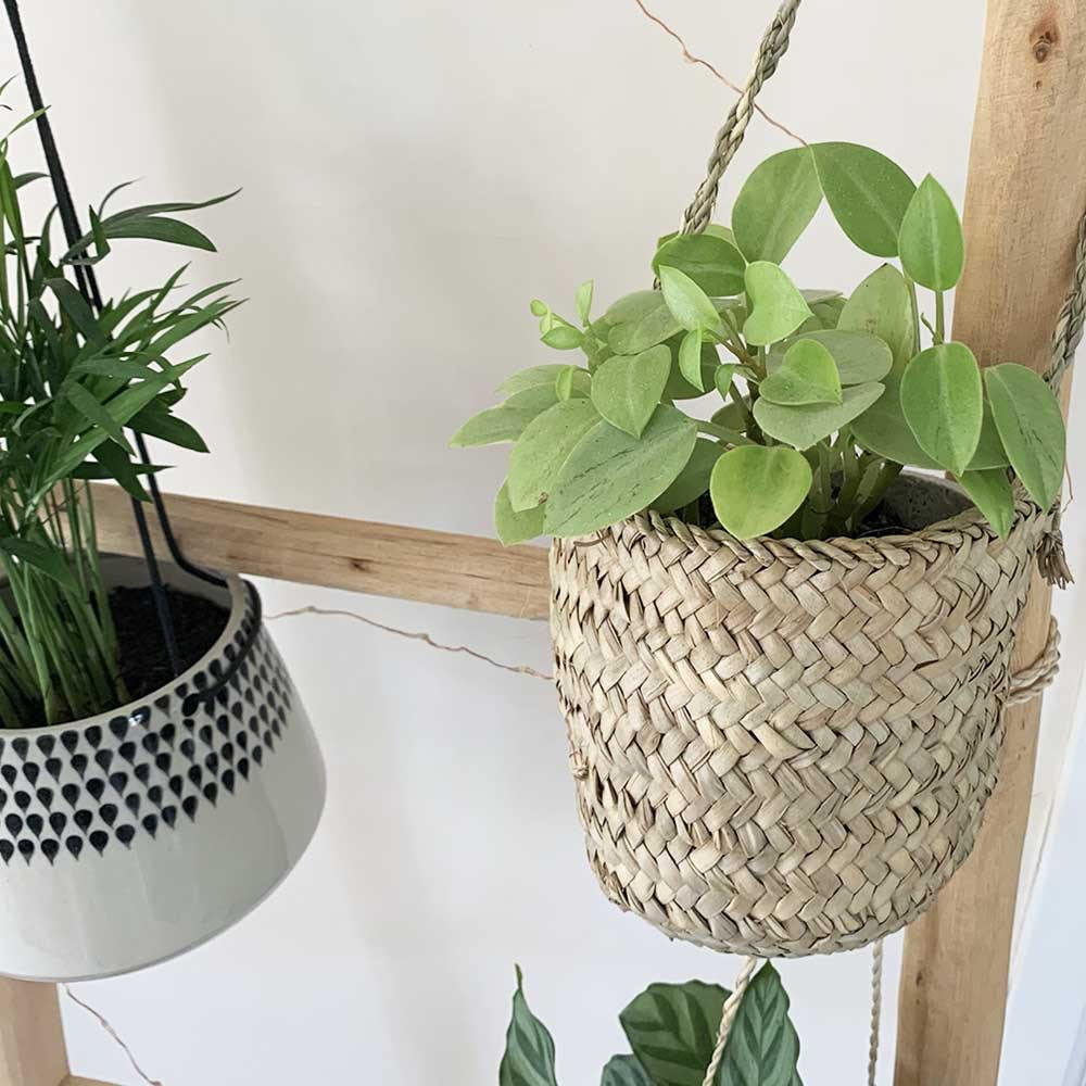 Tissé Panier en corde de coton pour plantes pour décoration intérieure de pot de fleurs panier à linge pliable panier de rangement domestique
